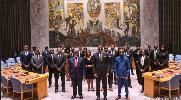Sierra Leone Pushes Strong African Voice at UN Security Council